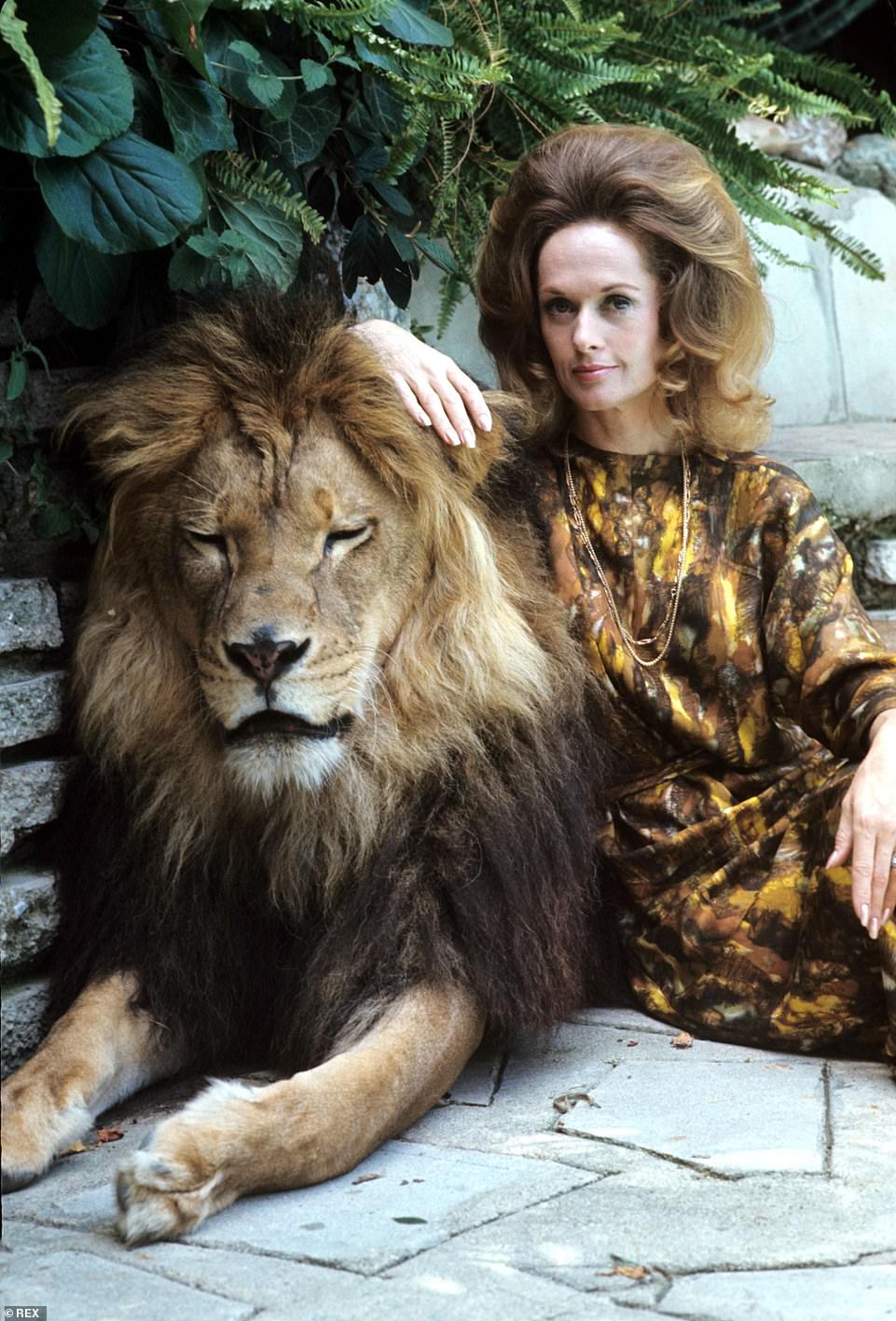Roar. Dir. Noel Marshall. Film Consortium, Filmways Pictures. 1981